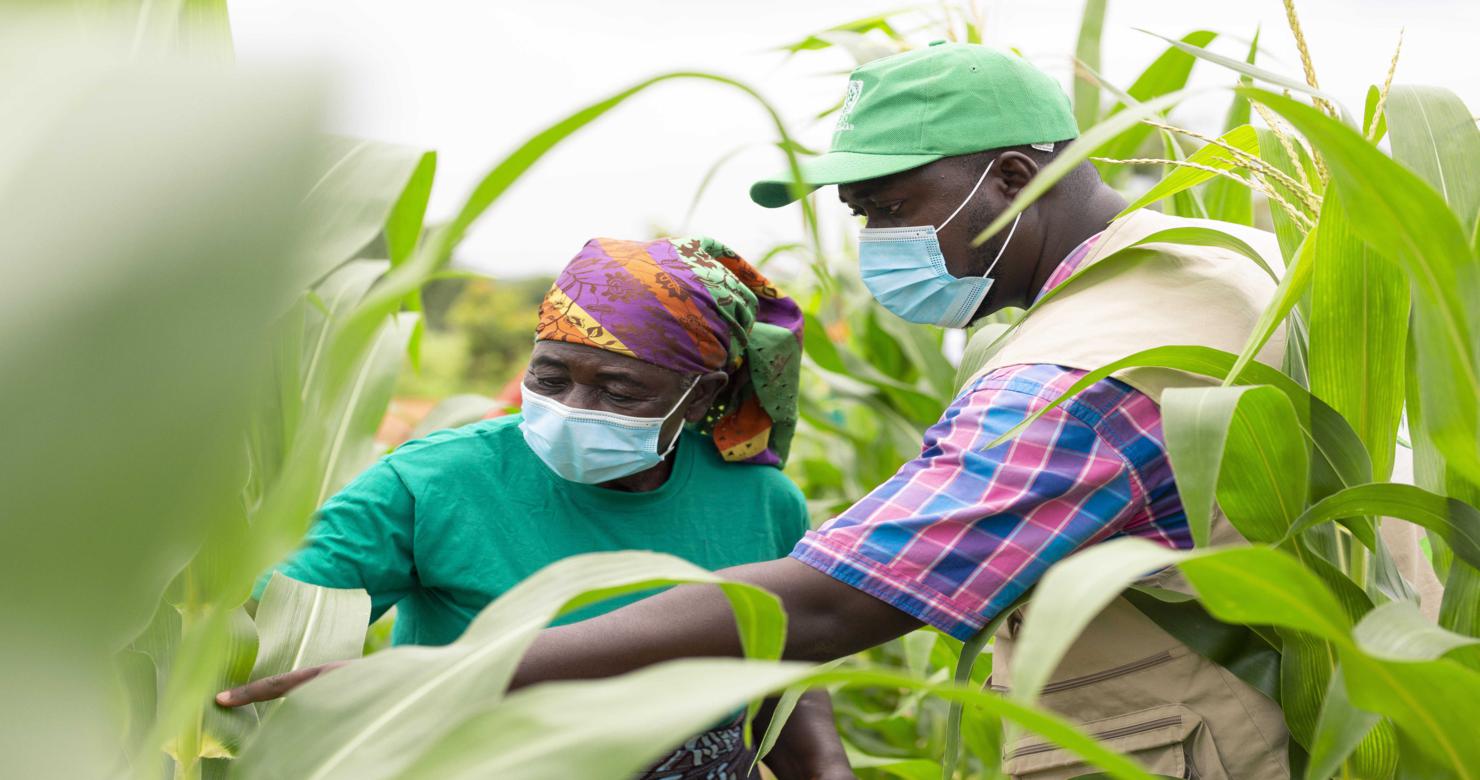 Accueil | OCP AFRICA